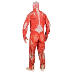 Discount Widmann S.r.l. Anatomi Kostume