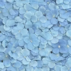 CHAKS Backdrop Hortensia Blå - Oppyntning