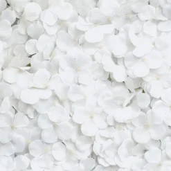 CHAKS Backdrop Hortensia Hvid - Oppyntning