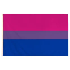Hot Henbrandt Europe B.V. Flag Biseksuel