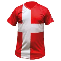 Outlet Netshirt Group AB Flagtrøje Danske Flag