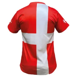 Outlet Netshirt Group AB Flagtrøje Danske Flag