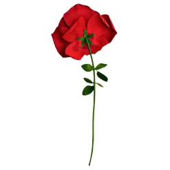 Mikamax B.V. Gigantisk Rose