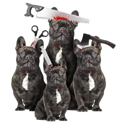Online Partyking AB Halloween Props til Hunde