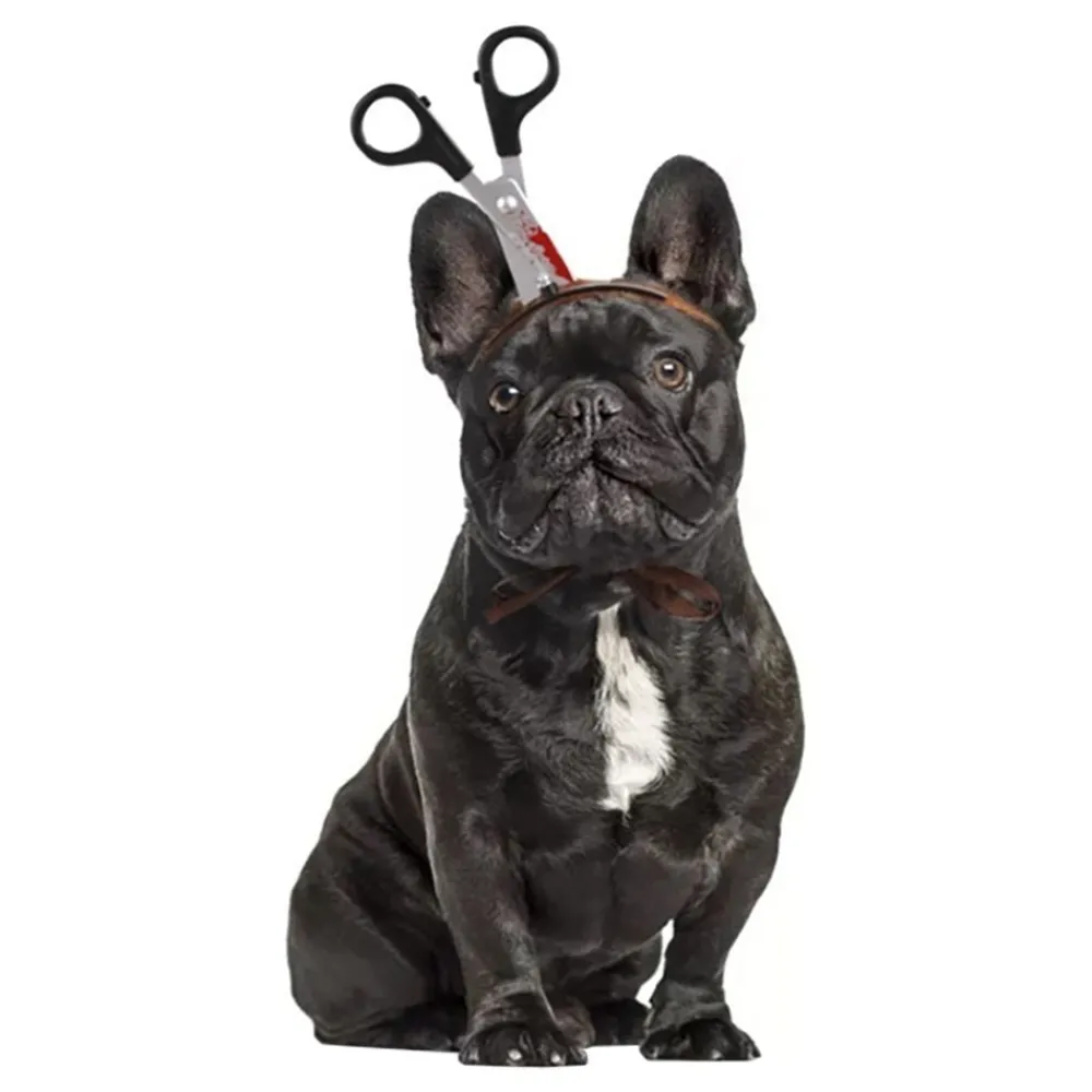 Online Partyking AB Halloween Props til Hunde
