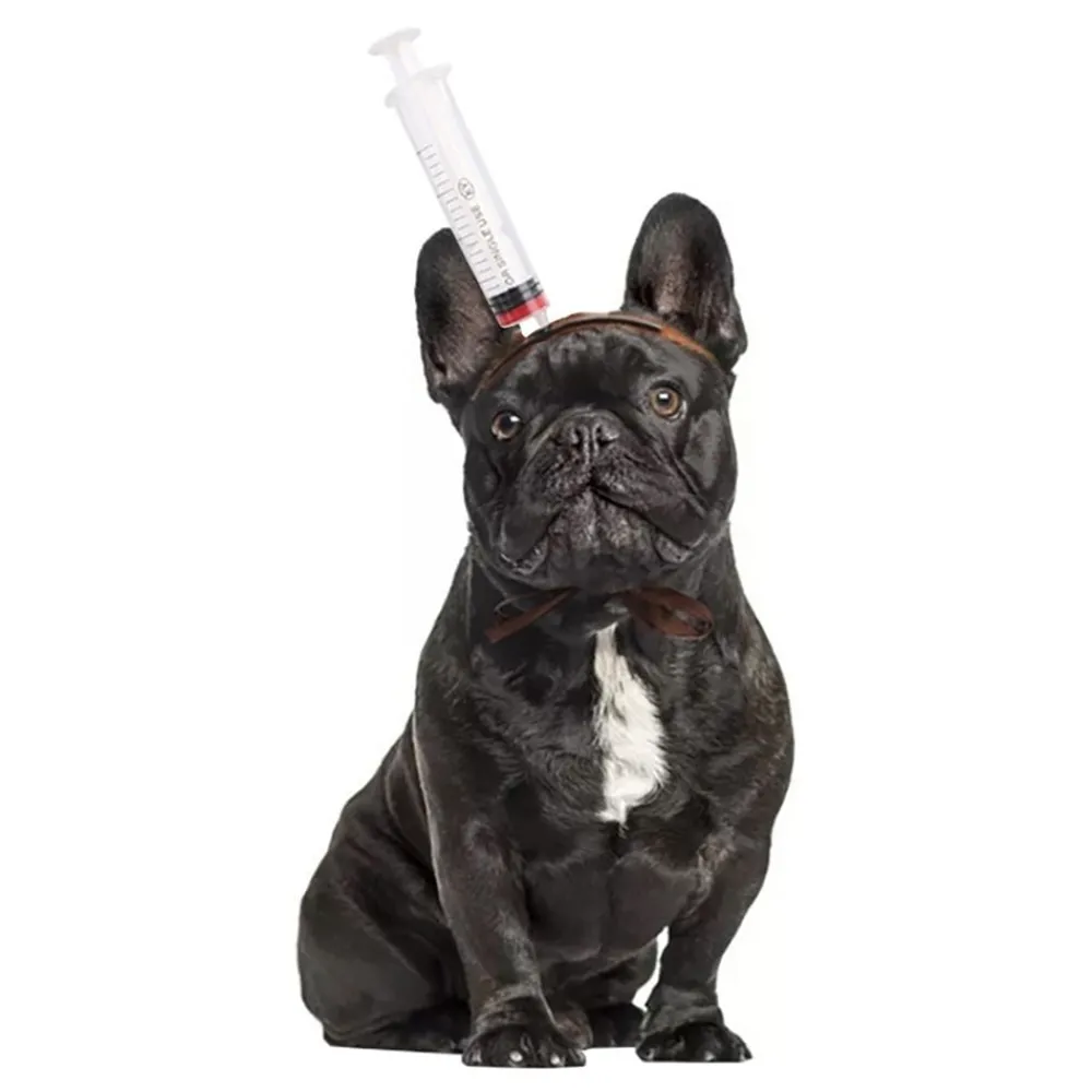 Online Partyking AB Halloween Props til Hunde
