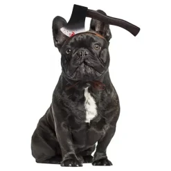 Online Partyking AB Halloween Props til Hunde