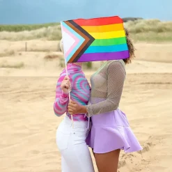 Boland Party Partners B.V. Håndflag i Polyester Pride Progress - Flag