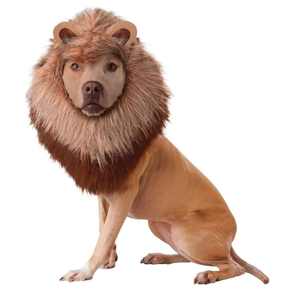 Online California Costumes Inc Junglens Konge Hund Udklædningsdragt
