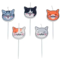 Hot Hisab/Joker Company AB Kagelys Katte