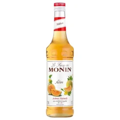 Online Barkonsult AB Monin Melon Sirup
