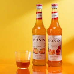 Best Barkonsult AB Monin Tangerine Syrup