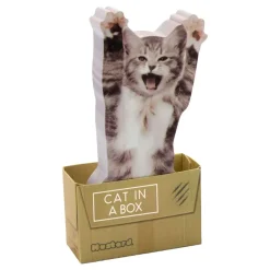 Hot Ohlsson & Lohaven AB Mustard Cat In A Box Sticky Notes