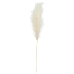 PartyDeco sp. z o.o. Pampasgræs - Oppyntning