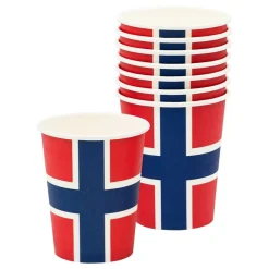 Clearance Design House 95 AB Papkrus Norske Flag
