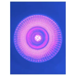ESPA NV Stage Effects UV LED Spot - Discobelysning|Hjem & Husholdning
