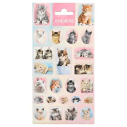 Online Hisab/Joker Company AB Stickers Katte